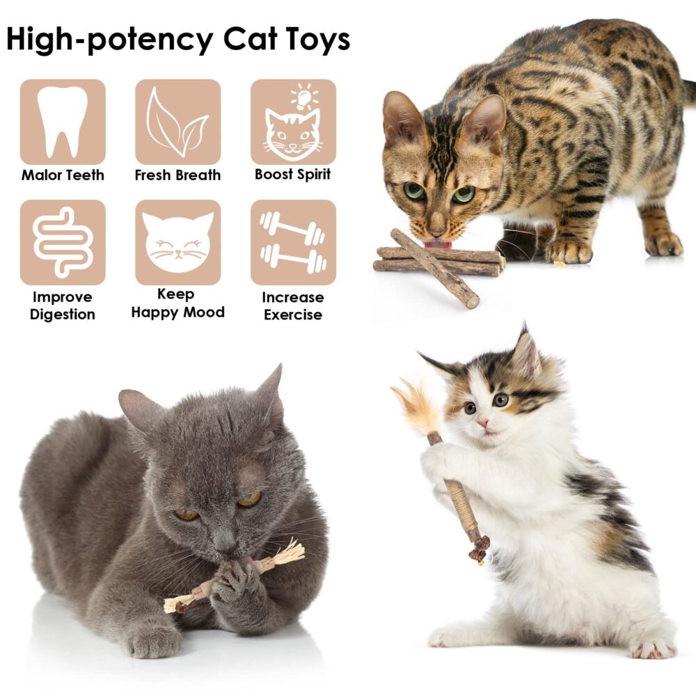 10PCS Chew Sticks for Cats Catnip Chew Sticks Cat Toys Teeth Grinding Interactive Feather Toys - Image 6