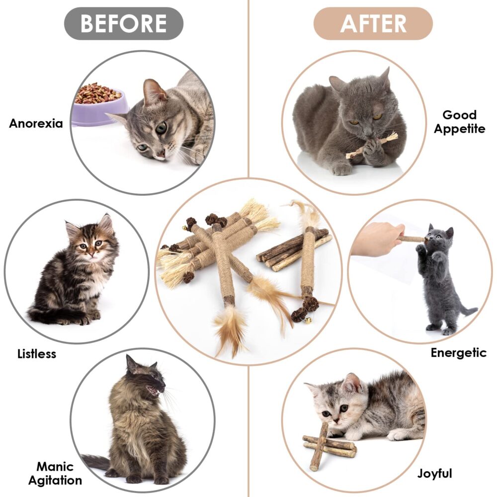 10PCS Chew Sticks for Cats Catnip Chew Sticks Cat Toys Teeth Grinding Interactive Feather Toys - Image 3