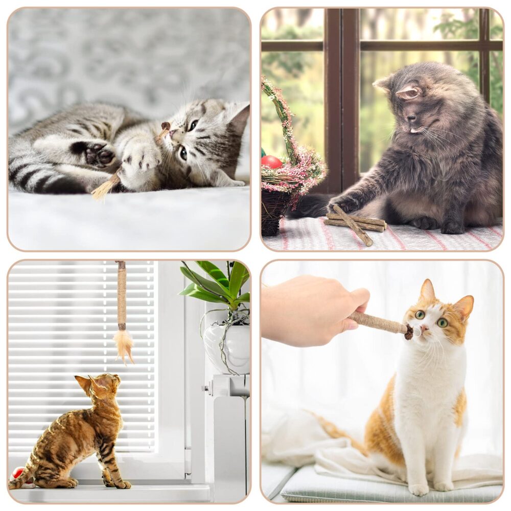 10PCS Chew Sticks for Cats Catnip Chew Sticks Cat Toys Teeth Grinding Interactive Feather Toys - Image 4