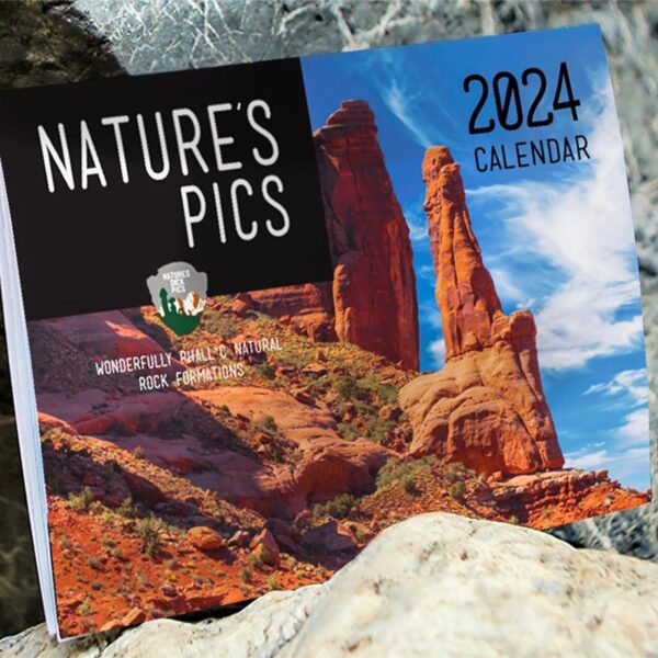 Nature's 2024 Calendar, 12 Monthly Planner, Desk Calendar 2024-2025, Funny White Elephant gifts 12"*18"